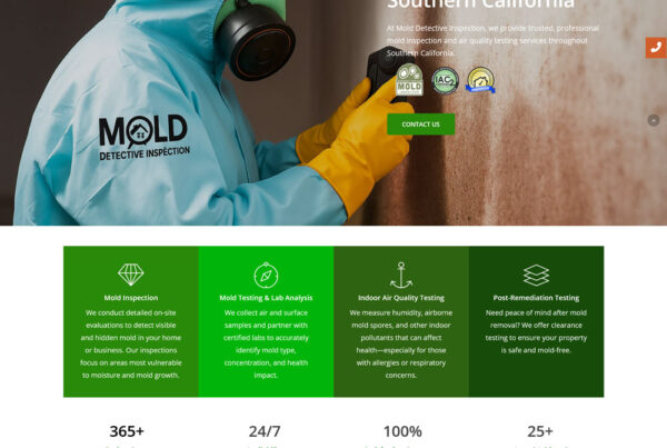Mold Detective Inspection project preview